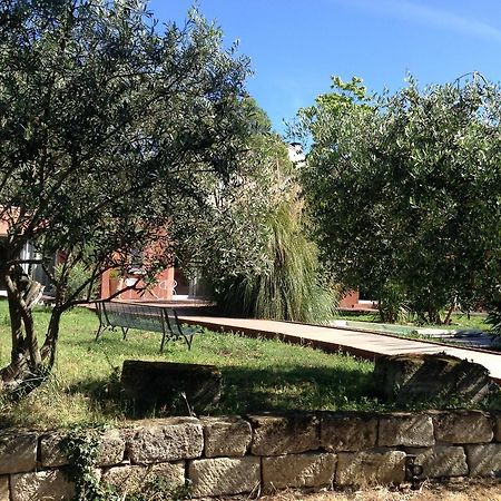 De la suite dans les oliviers Gallargues-le-Montueux Buitenkant foto